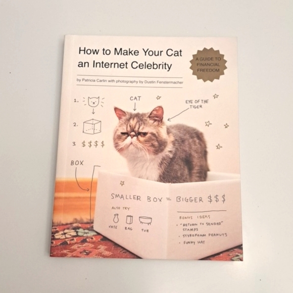 How to Make Your Cat an Internet Celebrity : by Patricia Carlin book - Picture 1 of 6